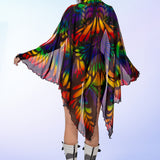 Rainbow Quiver Wings
