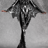 Arachna Dark Wings Set