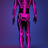 Halftone Skeleton Pink Male Costume