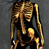 Dirty Candy Skeleton Costume