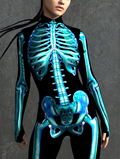 Blue Candy Skeleton Costume