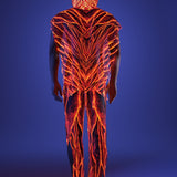 Lava Burst Male Hooded Set