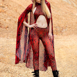Composition Crimson Mesh Cloak
