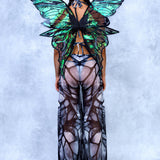 Rosette Dark Butterfly Mesh Pants