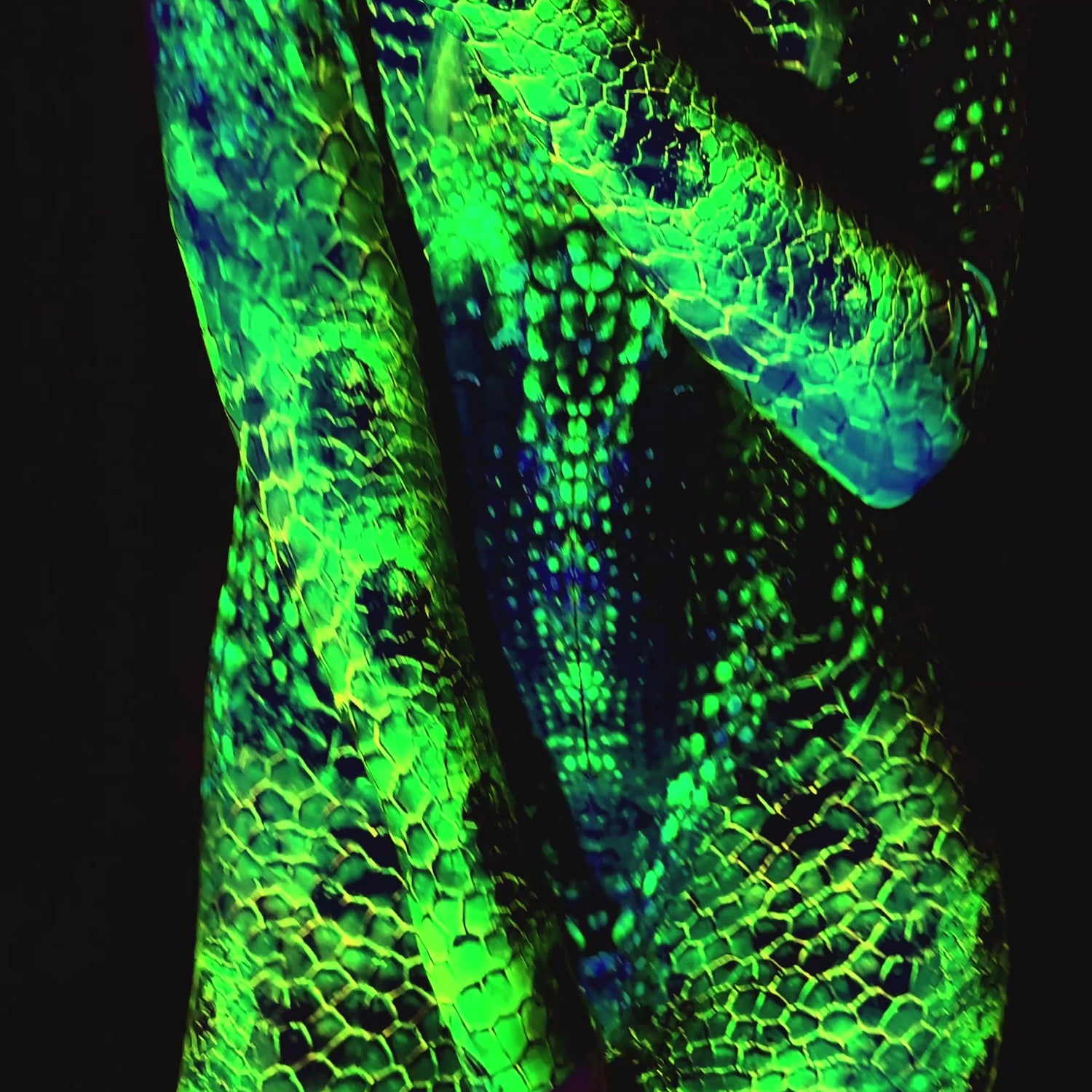Women Shapeshifter Costume