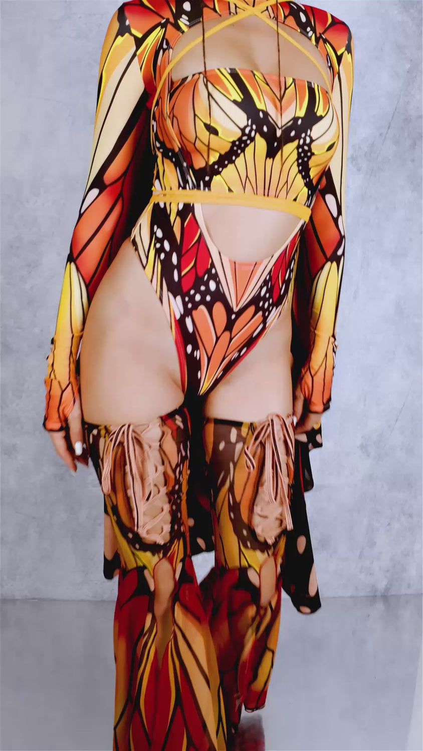 Autumn Butterfly Mesh Wings 6
