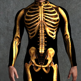 Dirty Candy Skeleton Male Costume
