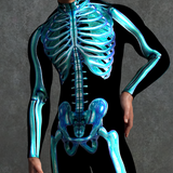 Blue Candy Skeleton Male Costume