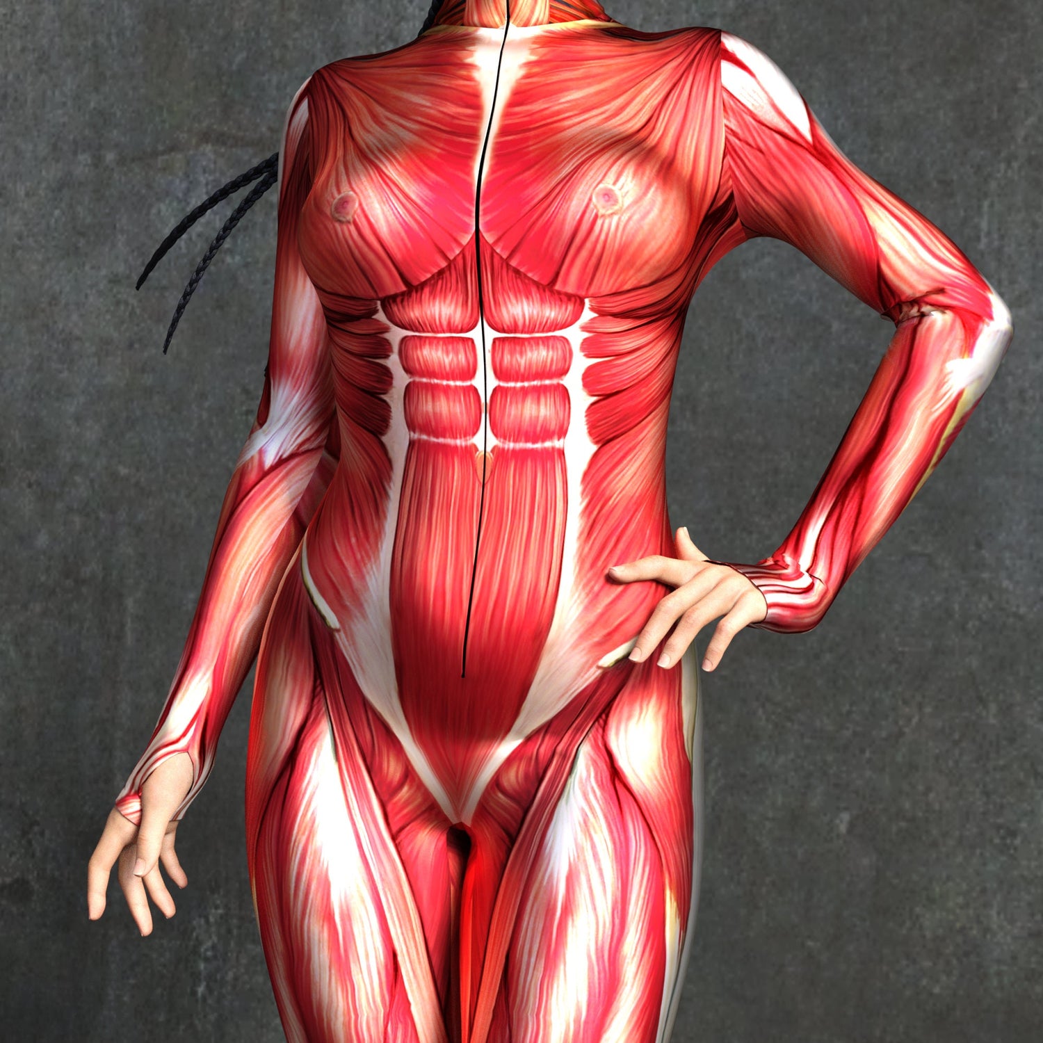 Muscle Costume Red