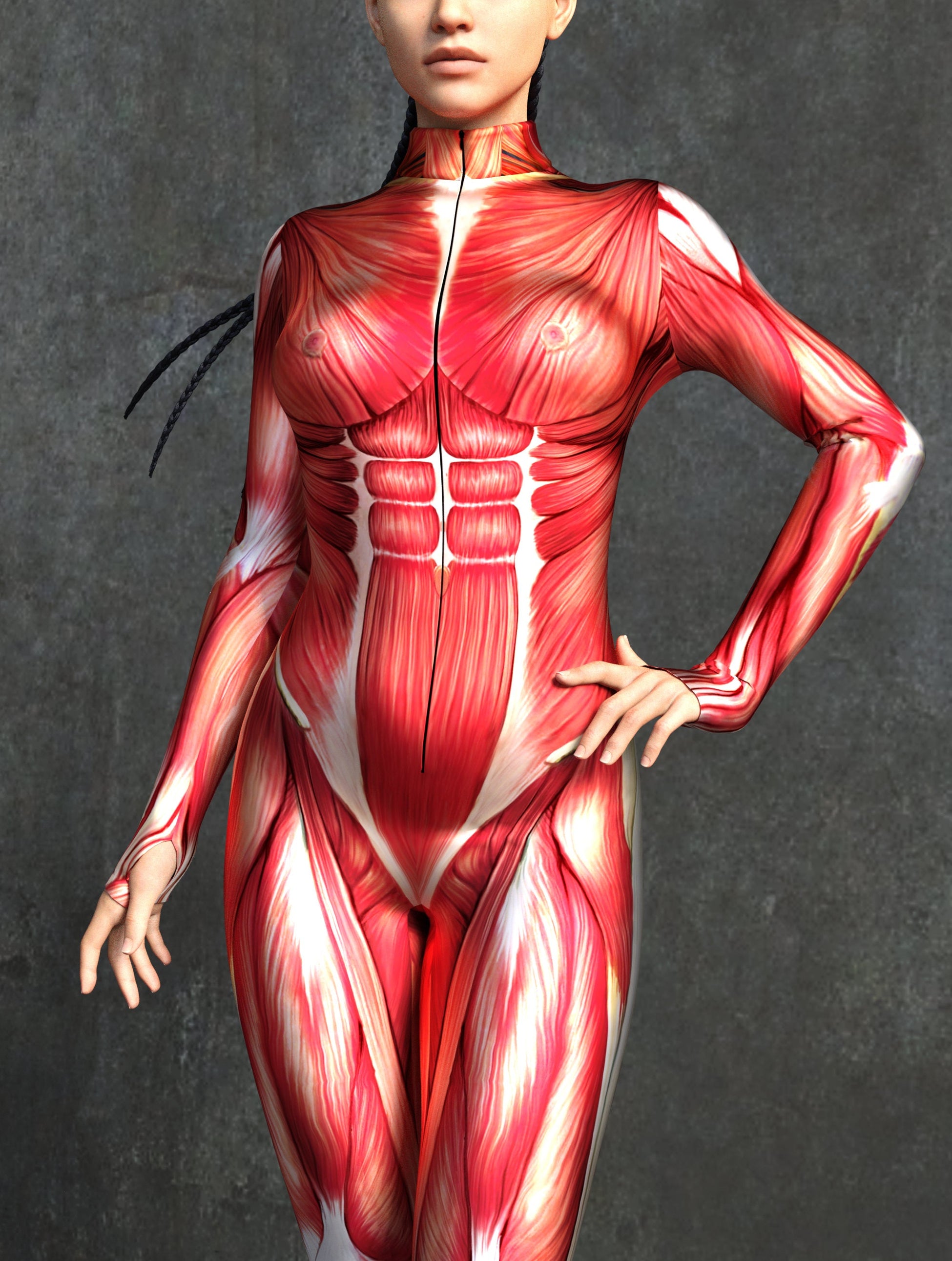 Muscle Costume 2