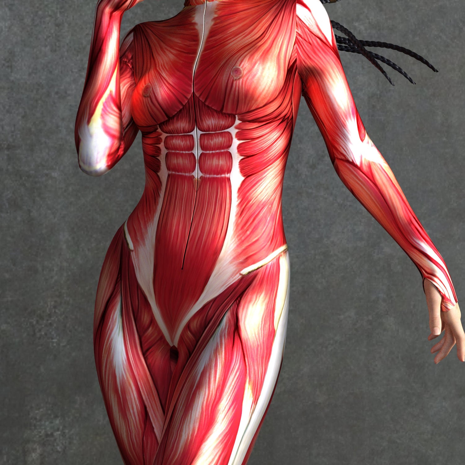 Muscle Costume