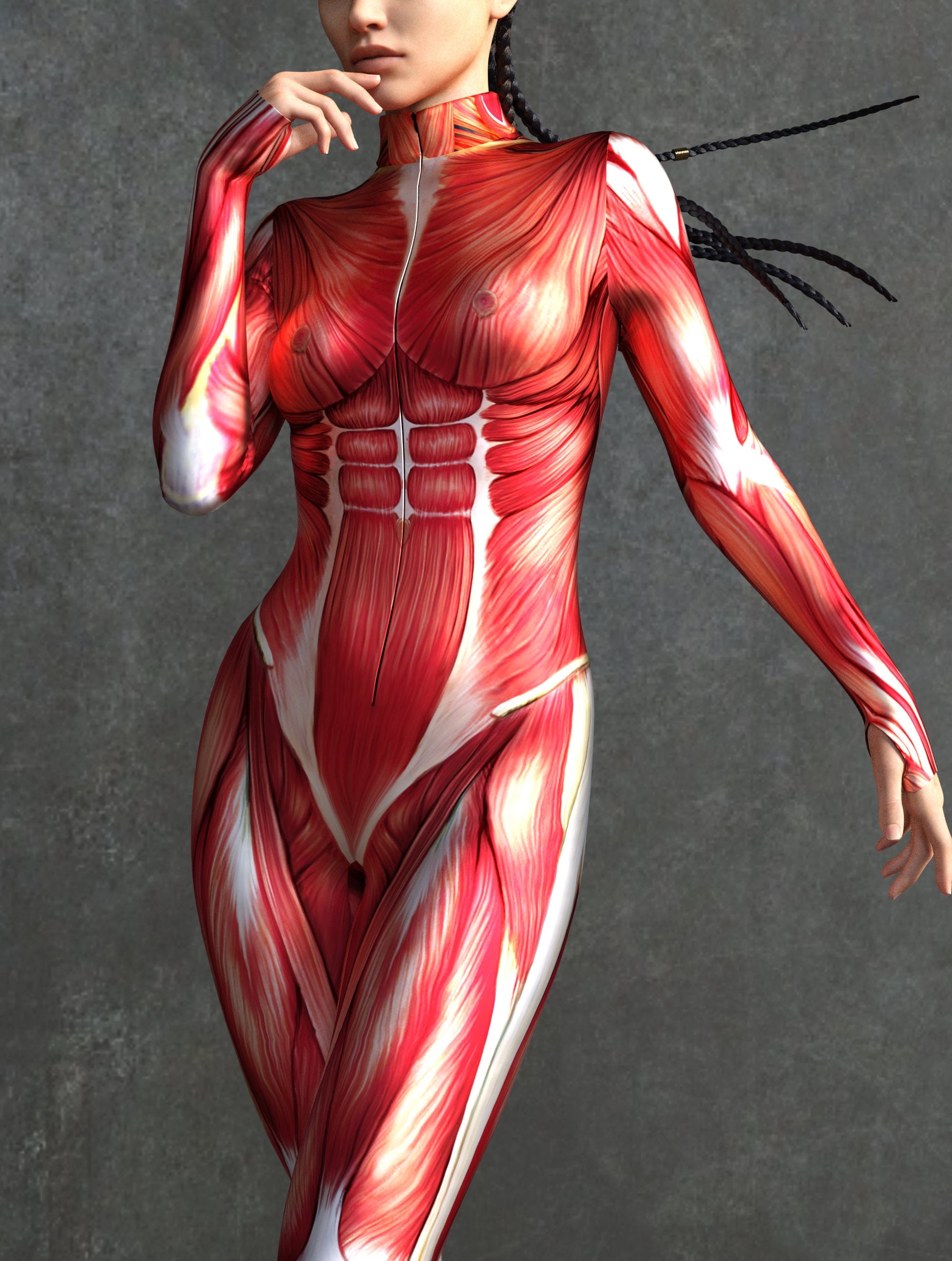 Muscle Costume 1
